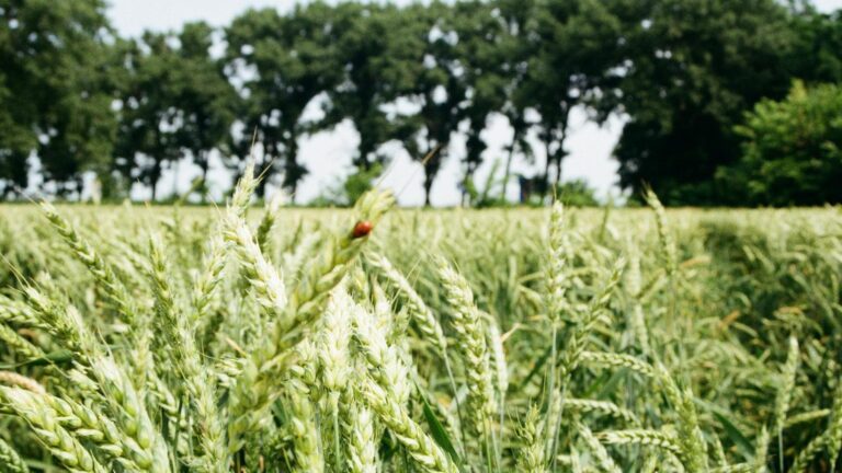 Ricardo Natalichio, ex-director de EcoPortal: “De las decisiones que tomemos ahora, dependerá nuestro futuro” 6 Ricardo Natalichio, ex-director de EcoPortal: “De las decisiones que tomemos ahora, dependerá nuestro futuro”