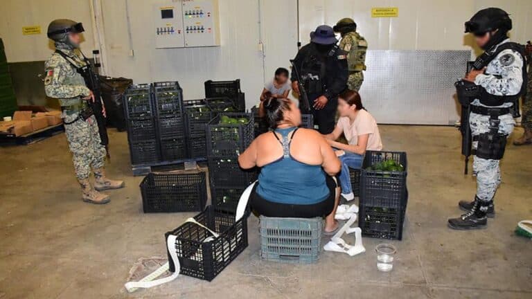 Operativo en Michoacán: detenciones, aseguramiento y vigilancia reforzada 3 Operativo en Michoacán: detenciones, aseguramiento y vigilancia reforzada