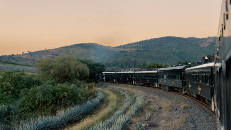 Claudia Sheimbaum informó del fallecimiento de 13 personas en el accidente del Tren Interoceánico 4 Claudia Sheimbaum informó del fallecimiento de 13 personas en el accidente del Tren Interoceánico