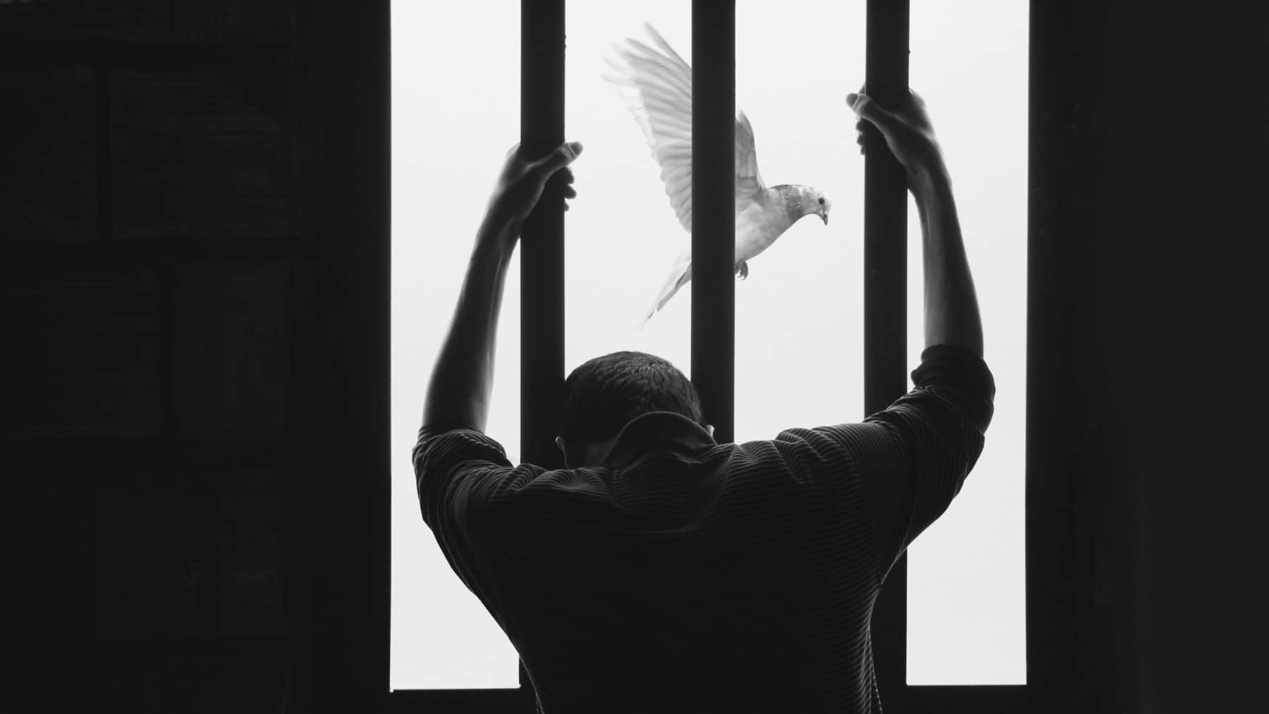 Presos políticos en Venezuela: se multiplican las protestas para pedir por la liberación de las víctimas del régimen