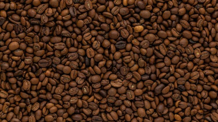 Sheinbaum impulsa el programa "Alimentación para el Bienestar" como pilar nacional 1 Sheinbaum.