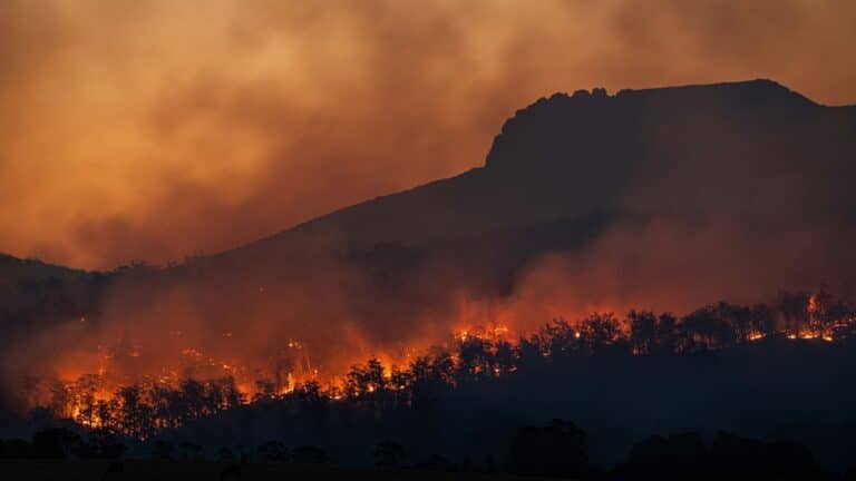 El mensaje de Sheinbaum tras el aterrizaje de los brigadistas mexicanos en Chile para combatir los incendios 4 El mensaje de Sheinbaum tras el aterrizaje de los brigadistas mexicanos en Chile para combatir los incendios