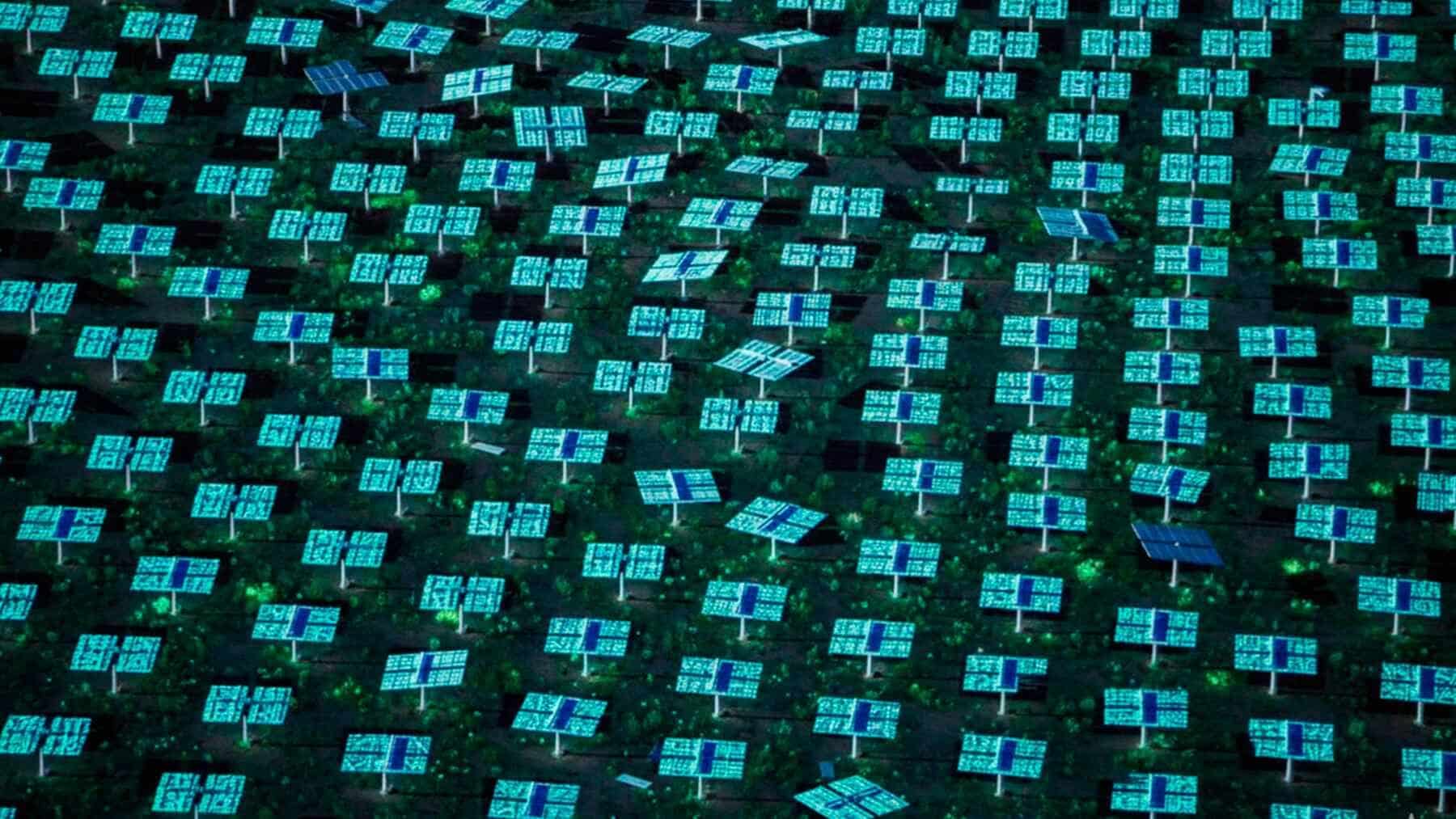 Investigadores sorprendidos: Creyeron que podrían «crear vida» con paneles solares y lo lograron