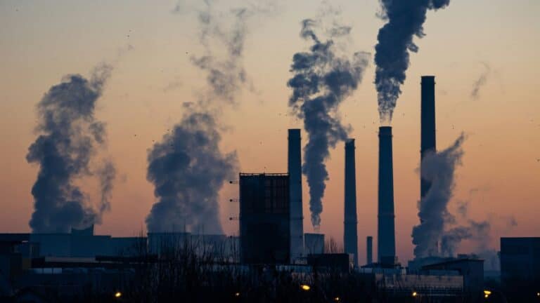 California lleva al gobierno de Trump a los tribunales por eliminar norma de protección climática de EE.UU. 1 California lleva al gobierno de Trump a los tribunales por eliminar norma de protección climática de EE.UU.