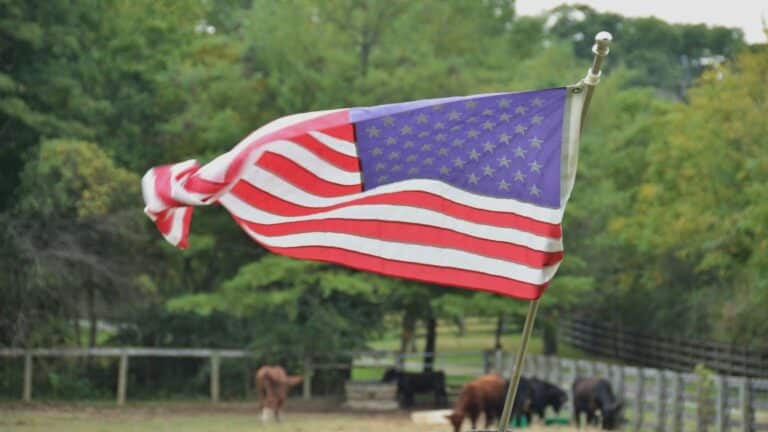 Trump a los agricultores: «Les dimos US$12 000 millones en alivio y pediremos más» 2 Trump a los agricultores: «Les dimos US$12 000 millones en alivio y pediremos más»