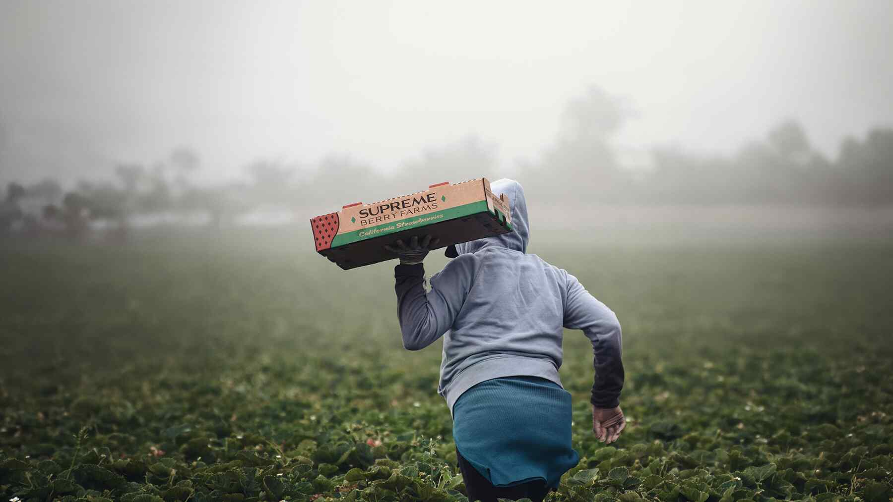 La presión contra los inmigrantes era imparable, hasta que empresarios y líderes locales de algunos estados recordaron quiénes sostienen parte de la economía: Ahora quieren protegerlos