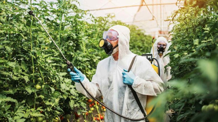 ambiente-pesticidas