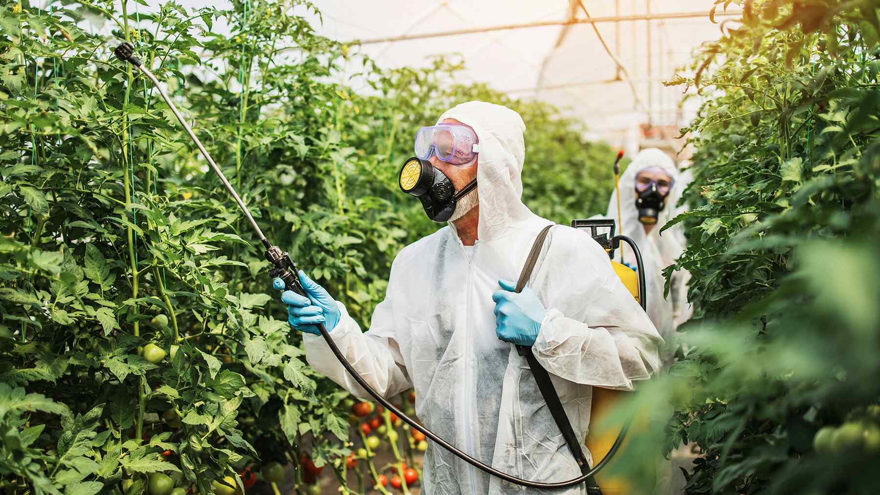 La amenaza venía mezclada en el ambiente, en los alimentos y tardó años en mostrarse: Ahora un estudio la relaciona con más apariciones de cáncer