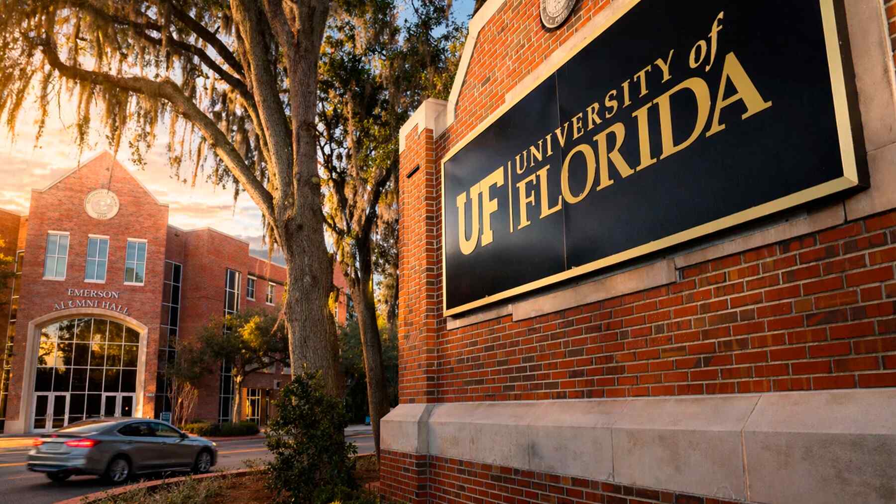 Miles de inmigrantes han logrado obtener títulos universitarios en Florida, pero una propuesta de ley podría dejarlos por fuera: Impondría nuevos requisitos