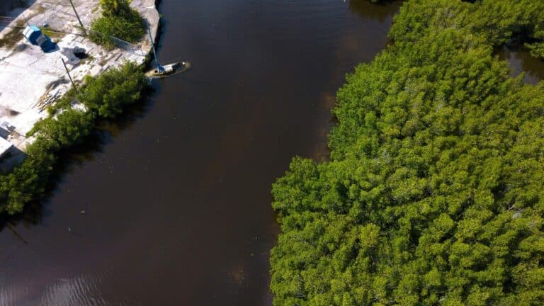 La EPA inyecta US$4,8 millones en Florida para frenar la contaminación de sus ríos y costas por desbordamiento de cloacas 8 La EPA inyecta US$4,8 millones en Florida para frenar la contaminación de sus ríos y costas por desbordamiento de cloacas