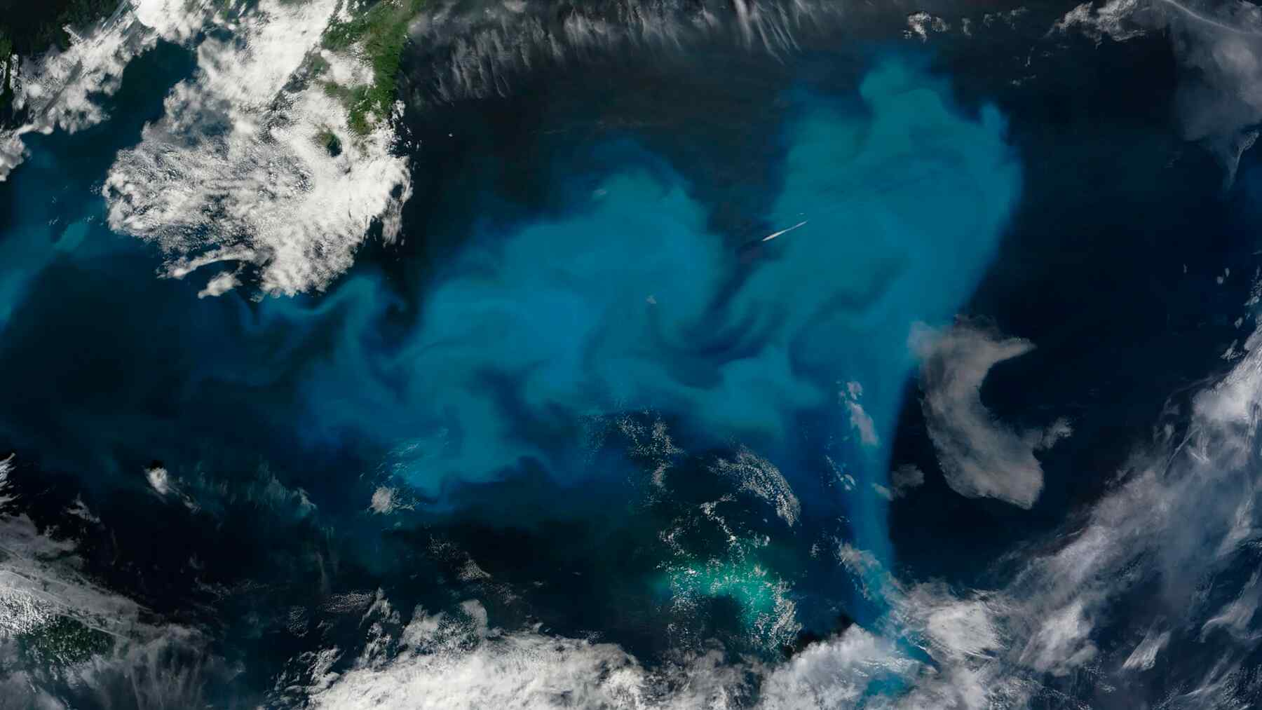 Primero fue un cambio de color en el agua y luego un aumento acelerado de la temperatura: Satélites de la NASA podrían haber detectado el nacimiento de una isla