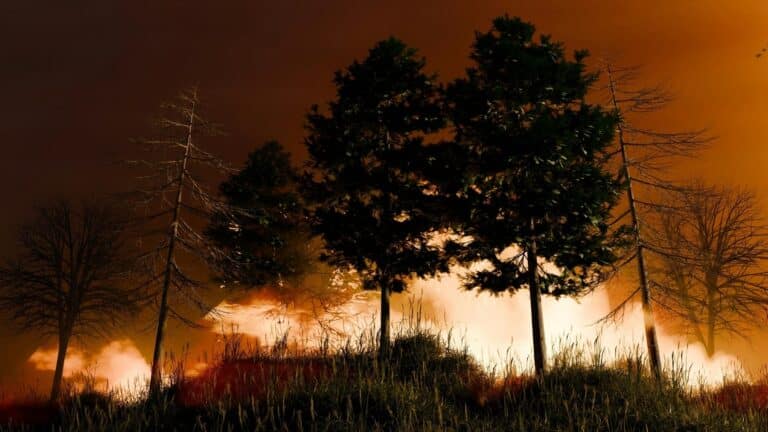 California destina US$30 millones para frenar los incendios antes de que destruyan más comunidades 1 California destina US$30 millones para frenar los incendios antes de que destruyan más comunidades