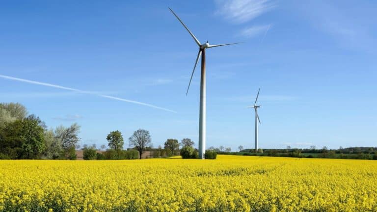 La energía limpia en EE. UU. suma nuevas inversiones pero no logra compensar los empleos que se pierden 7 La energía limpia en EE. UU. suma nuevas inversiones pero no logra compensar los empleos que se pierden