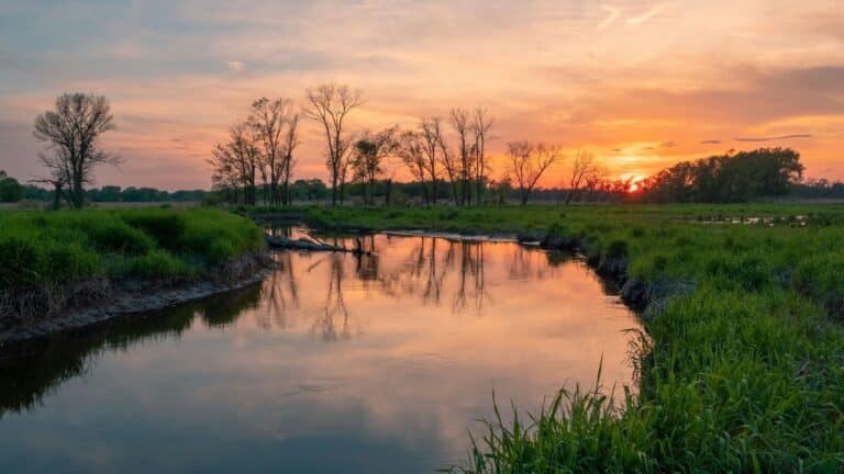 Delaware lanza un plan quinquenal para frenar la pérdida de humedales y fortalecer su conservación 5 Delaware lanza un plan quinquenal para frenar la pérdida de humedales y fortalecer su conservación