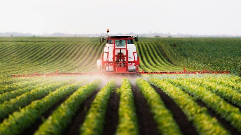 El USDA abre la inscripción para que productores de cultivos especiales cobren ayudas de hasta US$650 por acre 4 El USDA abre la inscripción para que productores de cultivos especiales cobren ayudas de hasta US$650 por acre