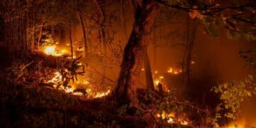 sandy fire california incendio simi valley newsom evacuados alerta emergencia