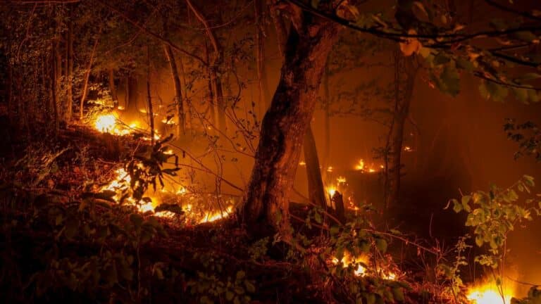California despliega su mayor flota aérea civil para combatir el Sandy Fire 1 California despliega su mayor flota aérea civil para combatir el Sandy Fire