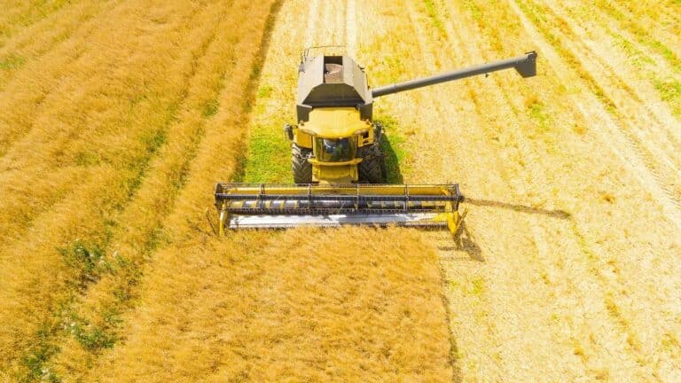 Estados Unidos tendrá un estándar federal para saber cuánto contamina cada cultivo destinado a biocombustibles 9 Estados Unidos tendrá un estándar federal para saber cuánto contamina cada cultivo destinado a biocombustibles