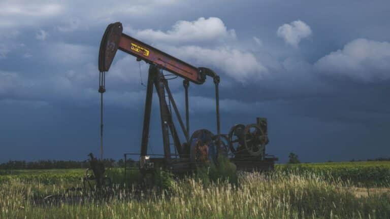 El Consejo Petrolero de Dakota del Norte busca blindarse legalmente frente a la protección de la mariposa Dakota Skipper por 30 años 1 El Consejo Petrolero de Dakota del Norte busca blindarse legalmente frente a la protección de la mariposa Dakota Skipper por 30 años