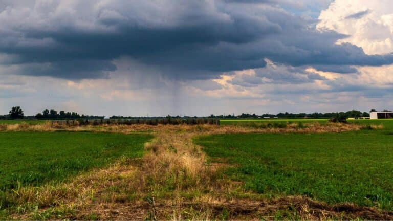 La EPA prometió a los agricultores de Oklahoma eliminar las normas anticontaminación que detienen las cosechas 3 La EPA prometió a los agricultores de Oklahoma eliminar las normas anticontaminación que detienen las cosechas