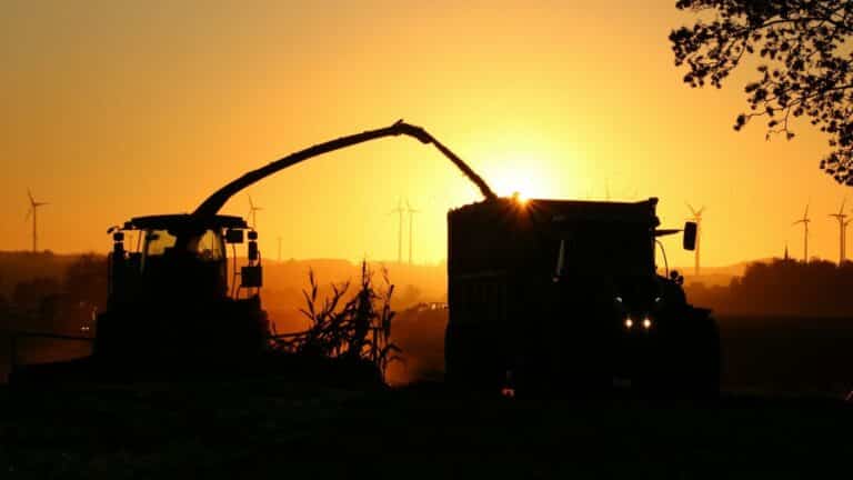 El Departamento de Energía de EE. UU. financia con US$134 millones dos proyectos para blindar su cadena de suministro de tierras raras 2 El Departamento de Energía de EE. UU. financia con US$134 millones dos proyectos para blindar su cadena de suministro de tierras raras