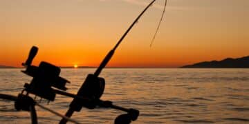 pesca en el Pacífico