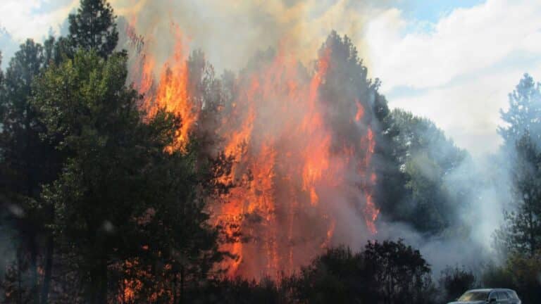 El Banco Mundial advierte que 1500 millones de personas enfrentan alto riesgo climático en todo el planeta 7 El Banco Mundial advierte que 1500 millones de personas enfrentan alto riesgo climático en todo el planeta