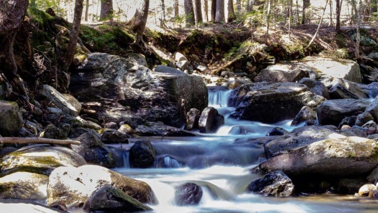 Maine avanza hacia la restauración natural del arroyo Lemon Stream tras aval de FERC 3 Maine avanza hacia la restauración natural del arroyo Lemon Stream tras aval de FERC