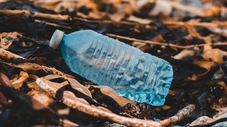 Nueva York se suma al desafío mundial contra el plástico descartable para julio 8 Nueva York se suma al desafío mundial contra el plástico descartable para julio