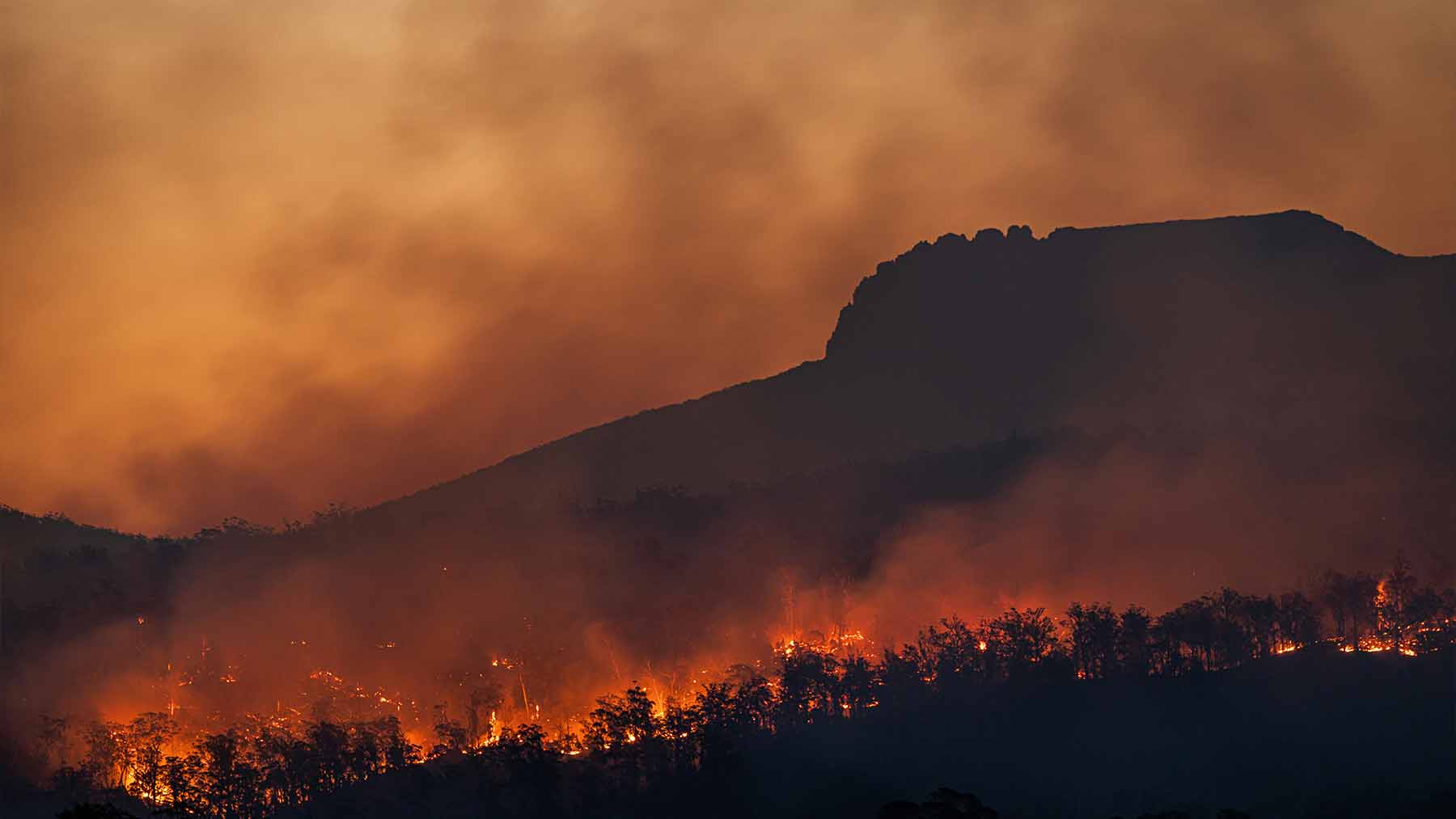 incendios