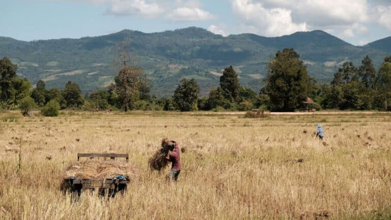 Los 5 hallazgos del Banco Mundial sobre cómo el clima transforma el empleo global