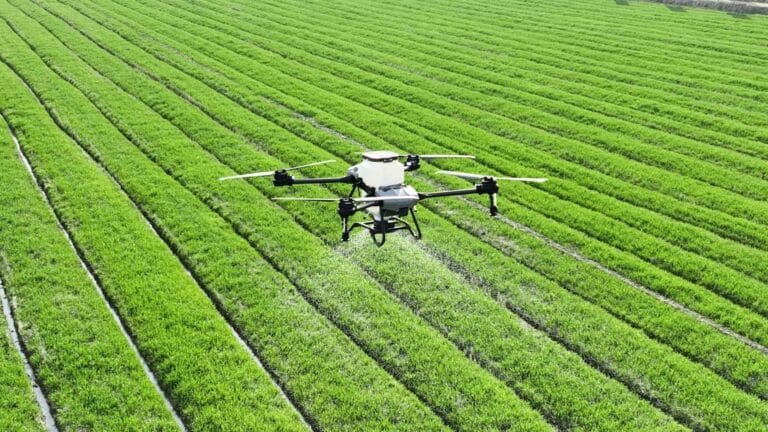El Banco Mundial advierte que sin empleo calificado la inteligencia artificial no salva al sector agrícola 5 El Banco Mundial advierte que sin empleo calificado la inteligencia artificial no salva al sector agrícola