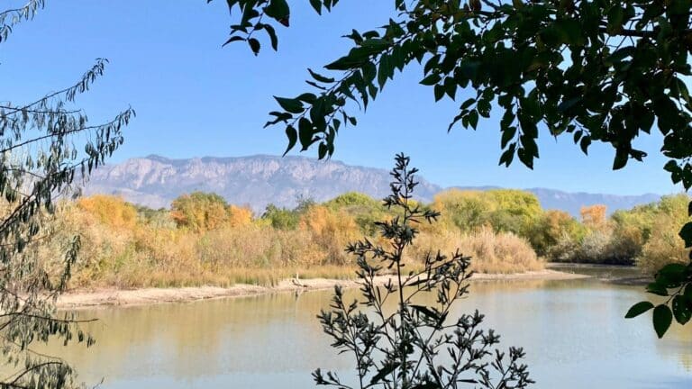 Los 4 puntos para entender el trabajo conjunto de Nuevo México y la EPA en la limpieza ambiental