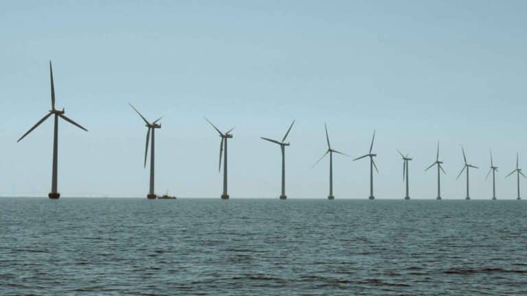 Nueva York prepara un encuentro virtual sobre integración de la energía eólica marina
