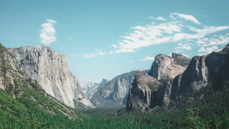 Los 7 puntos para entender las versiones estatales de la Ley Nacional de Política Ambiental