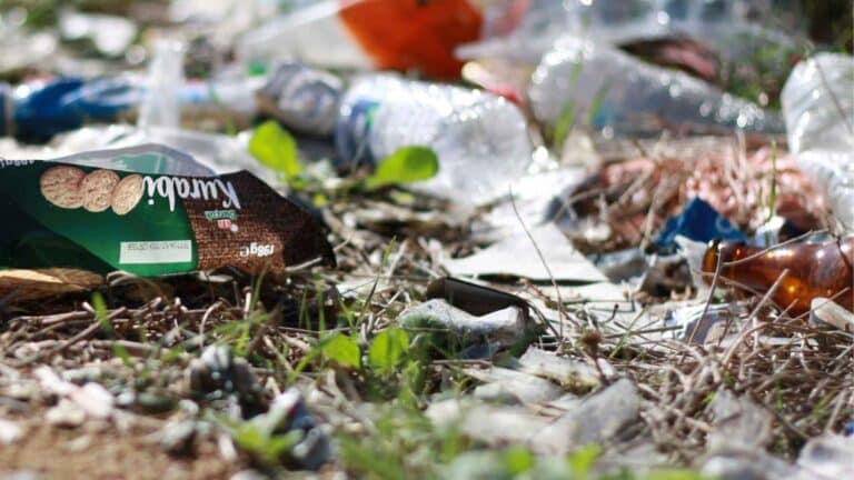 Michigan lanza la semana de concientización sobre químicos eternos por los casi 300 sitios contaminados en el estado 1 Michigan lanza la semana de concientización sobre químicos eternos por los casi 300 sitios contaminados en el estado