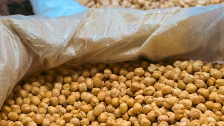 La ONU advierte que castigar el intercambio de semillas campesinas compromete la alimentación mundial 3 La ONU advierte que castigar el intercambio de semillas campesinas compromete la alimentación mundial