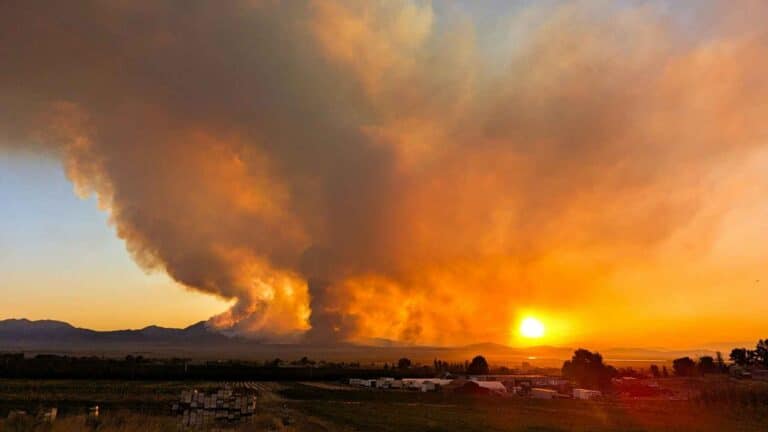 La UICN confirma daños climáticos irreversibles y pide acción urgente en el planeta