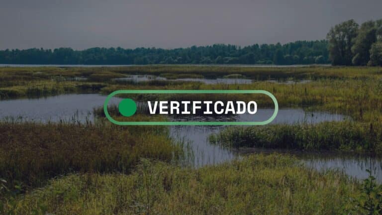 Fact-check: Qué sabemos sobre los pequeños humedales y su masiva emisión de metano global 2 Fact-check: Qué sabemos sobre los pequeños humedales y su masiva emisión de metano global