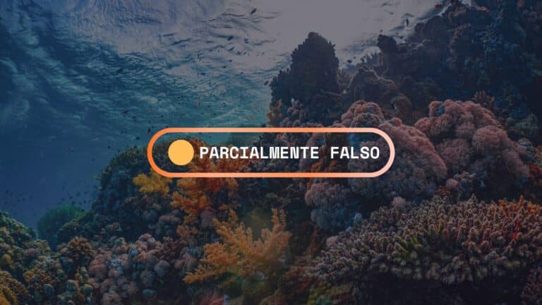 Fact-check: ¿Demuestra la recuperación del coral que el calentamiento global no daña a los arrecifes? 3 Fact-check: ¿Demuestra la recuperación del coral que el calentamiento global no daña a los arrecifes?