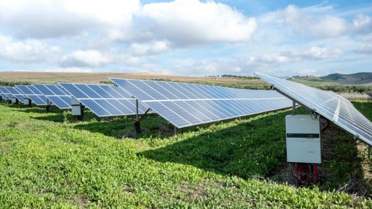 Agricultores de California recurren a proyectos solares para obtener ingresos cuando las restricciones de agua vuelven inviables algunos cultivos 4 Agricultores de California recurren a proyectos solares para obtener ingresos cuando las restricciones de agua vuelven inviables algunos cultivos