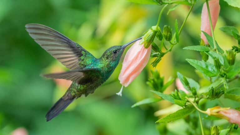 El Programa de la ONU para el Medio Ambiente analiza por primera vez los logros del acuerdo global de biodiversidad 4 El Programa de la ONU para el Medio Ambiente analiza por primera vez los logros del acuerdo global de biodiversidad