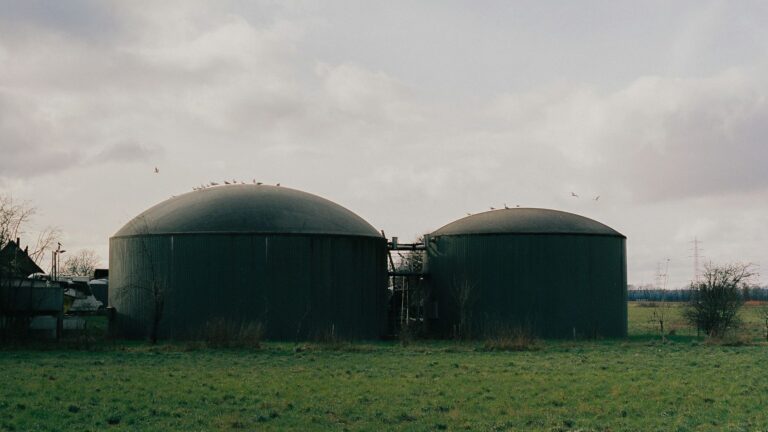 La AIE destaca que el biogás y el biometano fortalecen la seguridad energética y generan nuevas oportunidades económicas en el ámbito rural 2 La AIE destaca que el biogás y el biometano fortalecen la seguridad energética y generan nuevas oportunidades económicas en el ámbito rural
