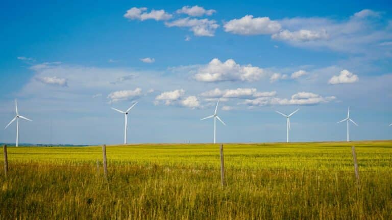 El WRI propone acelerar la electrificación limpia para combatir la inestabilidad de los combustibles fósiles 18 El WRI propone acelerar la electrificación limpia para combatir la inestabilidad de los combustibles fósiles