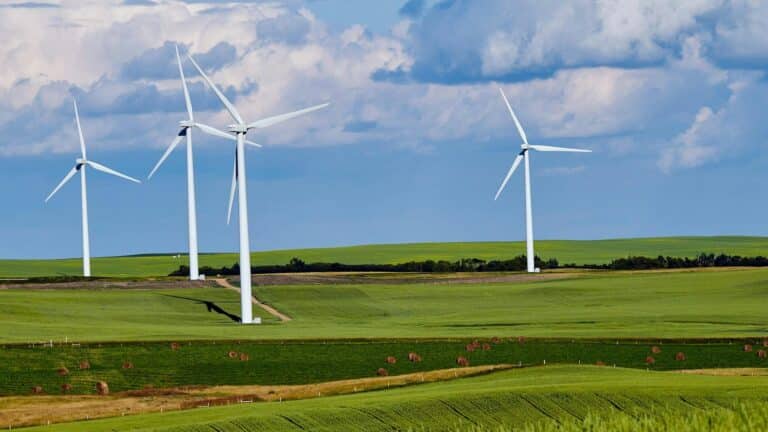 La ACP destaca que la energía limpia genera cerca del 60 % de la electricidad total en Iowa 2 La ACP destaca que la energía limpia genera cerca del 60 % de la electricidad total en Iowa