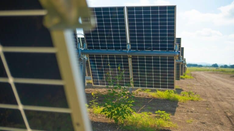 Una granja de Connecticut fundada en 1765 se modernizó con paneles solares y bombas de calor para reducir su factura de energía casi a cero 2 Una granja de Connecticut fundada en 1765 se modernizó con paneles solares y bombas de calor para reducir su factura de energía casi a cero
