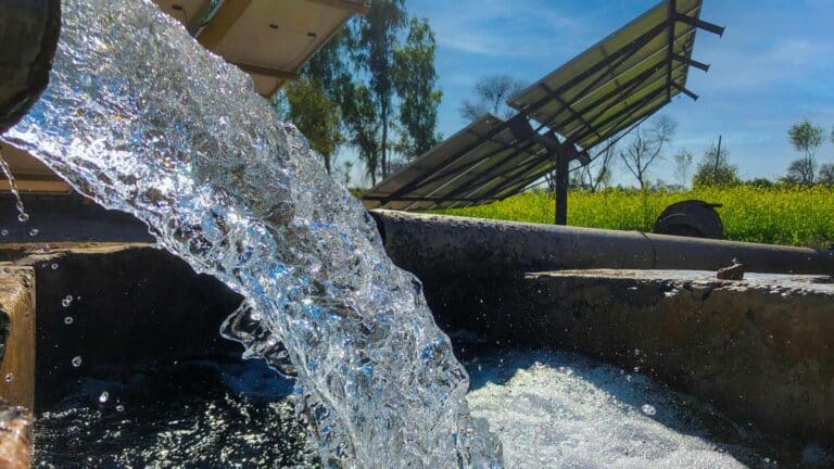 Una bomba solar permitió que una granja dejara de depender de un estanque sucio y lodoso donde las vacas quedaban atrapadas y llevar agua a sus potreros 3 Una bomba solar permitió que una granja dejara de depender de un estanque sucio y lodoso donde las vacas quedaban atrapadas y llevar agua a sus potreros