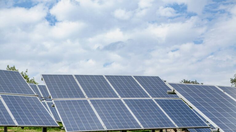 Instalaron paneles solares en el establo de búfalos de Standing Rock con una estructura elevada y reforzada para resistir el roce de los enormes animales 2 Instalaron paneles solares en el establo de búfalos de Standing Rock con una estructura elevada y reforzada para resistir el roce de los enormes animales