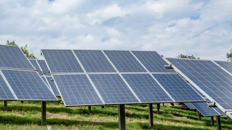 Instalaron paneles solares que giran como «girasoles» sobre cultivos de Oregón y el agricultor afirma usar la mitad de agua bajo su sombra