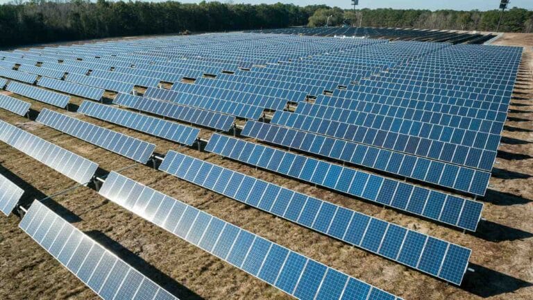 Instalaron paneles solares sobre un cultivo de arándanos silvestres en Maine, pero el exceso de sombra redujo la cosecha en más del 90 % 3 Instalaron paneles solares sobre un cultivo de arándanos silvestres en Maine, pero el exceso de sombra redujo la cosecha en más del 90 %
